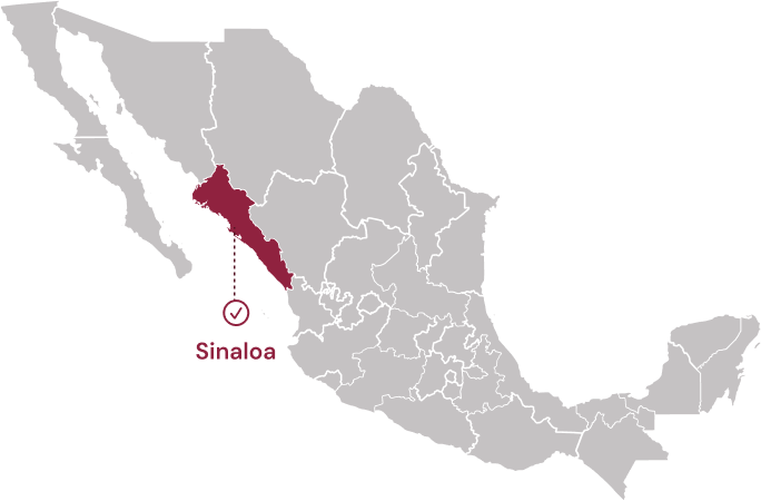 Mapa Sinaloa