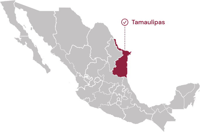 Mapa Tamaulipas